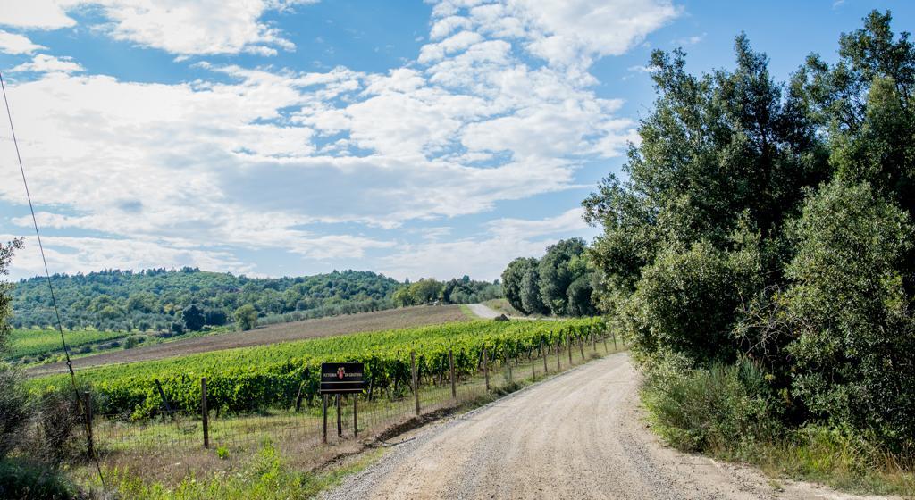 Agriturismo Fattoria Di Gratena Arezzo Exterior foto