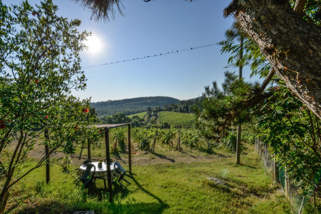 Agriturismo Fattoria Di Gratena Arezzo Exterior foto